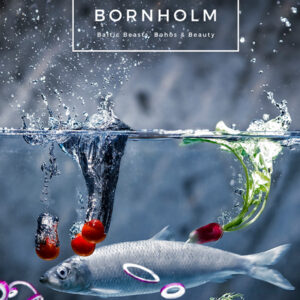 Bornholm, Baltic beasts, bohos, and beauty